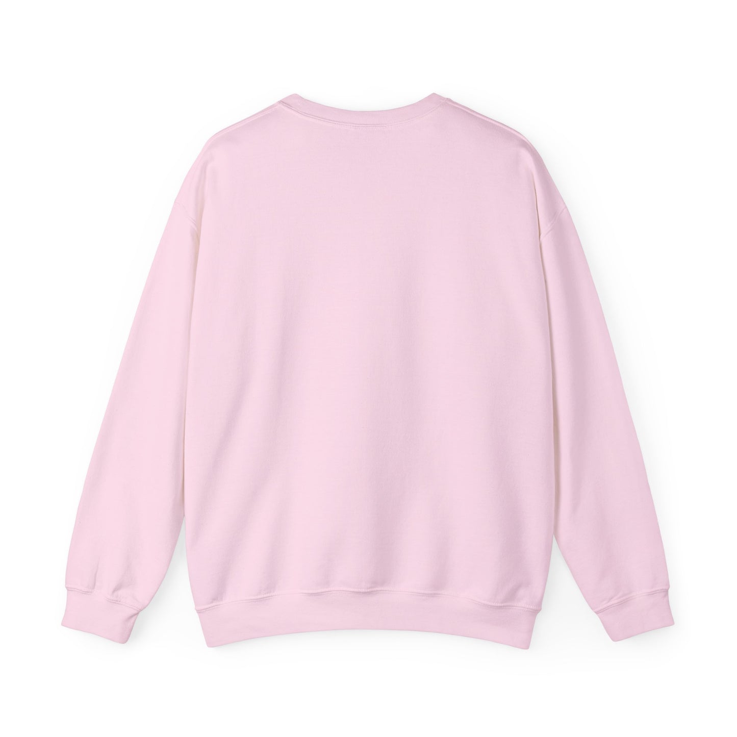 Blind Teacher Teach Love Inspire Sweatshirt