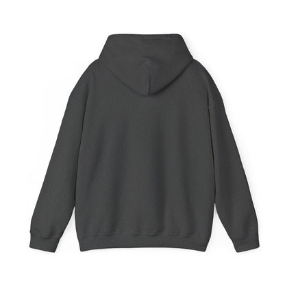 Blindish 'Still Visionary Hoodie(black letters)