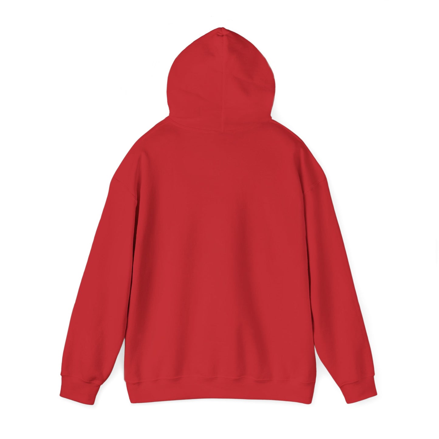 Walk By Faith Not By Sight Hoodie(black letters)