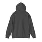 Blindish "Still Visionary" Hoodie - Inspirational Graphic Hooded Sweatshirt